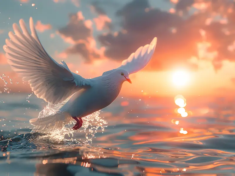 Illustration of a dove hovering over a water with light, representing the Holy Spirit”