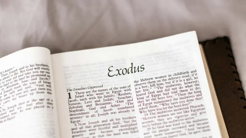 An open Bible, highlighting the scripture that talks about God's mercy overcoming generational patterns.